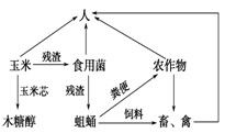 生態工程加環設計 以玉米芯生產木糖醇為例的效率與價值分析